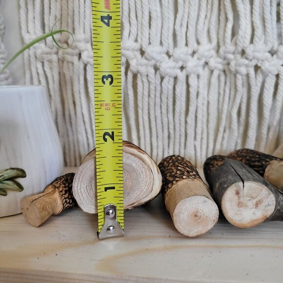 Mixed set of Carved Morel Merchrooms Variety Pack Plant Stake Decor Mushroom - Picture 3 of 11